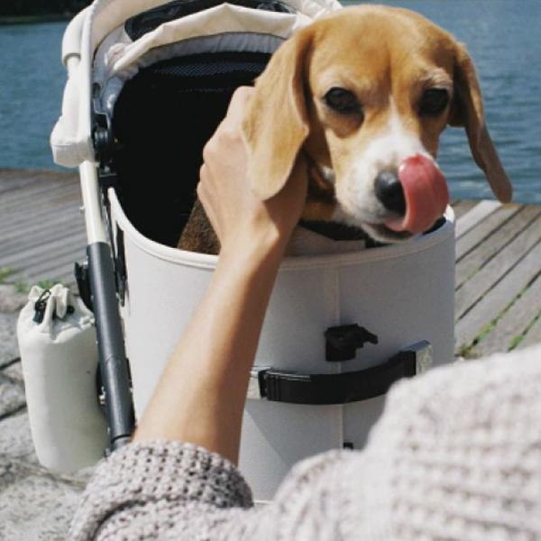 AIRBUGGY（エアバギー） 即納可能!! 購入特典付き!! ドーム3・プレミア