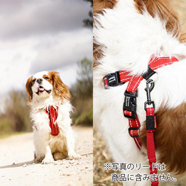 EZYDOG(イージードッグ) チェストプレートハーネス(Mサイズ) 犬用 胴輪