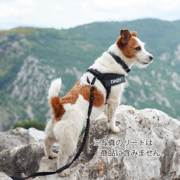 EZYDOG(イージードッグ) エクスプレスハーネス(Lサイズ) 犬用 胴輪