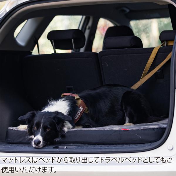 EZYDOG(イージードッグ) ドッグスマートベッド(Mサイズ) 2WAY 形状記憶マットレス トラベル リバーシブル 防水 100%リサイクル素材 快適 名入れラベルの画像