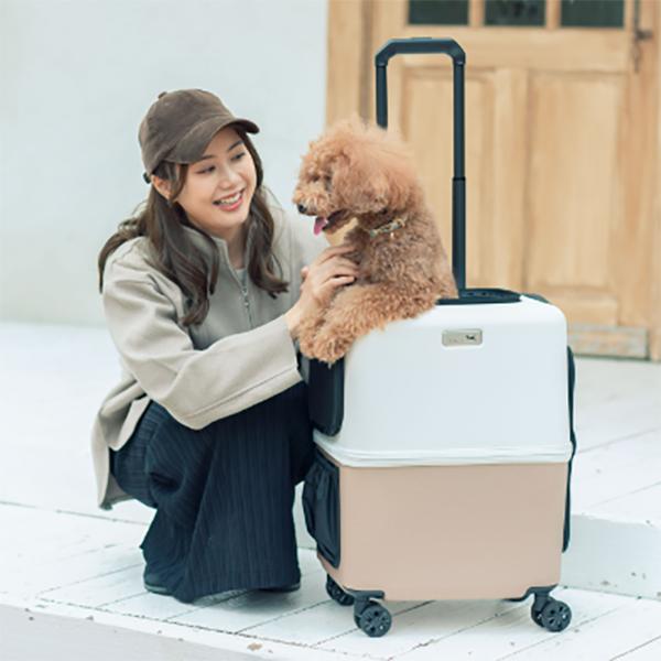 PETiCO ペットキャリー Mサイズ LEGEND WALKER PETiCO ペチコ ペットキャリー ブルー グレー