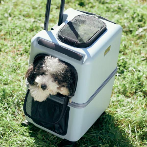 PETICO ペットキャリーMサイズ スーツケース型 犬猫用 中型犬OK Amazon.co.jp: 中型犬用 ペットキャリー スーツケースタイプ