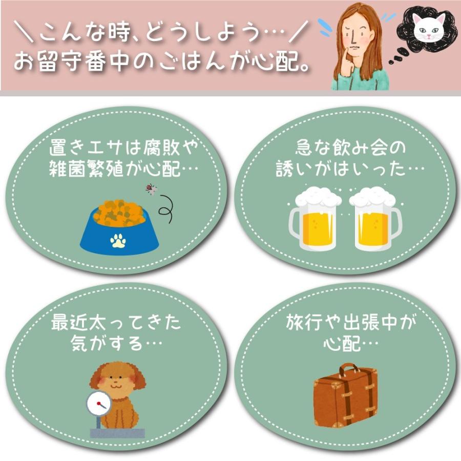 公式 ペット用 自動給餌器 オートペットフィーダー 自動餌やり器 お留守番 ペット 食器 1食分 猫用 犬用 ２台セット Fucoa Cl