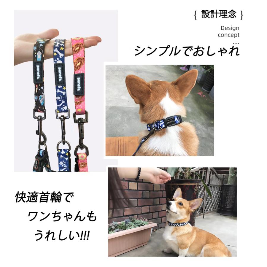 犬 リード 首輪 リードセット 小型犬 中型犬 おしゃれ かわいい