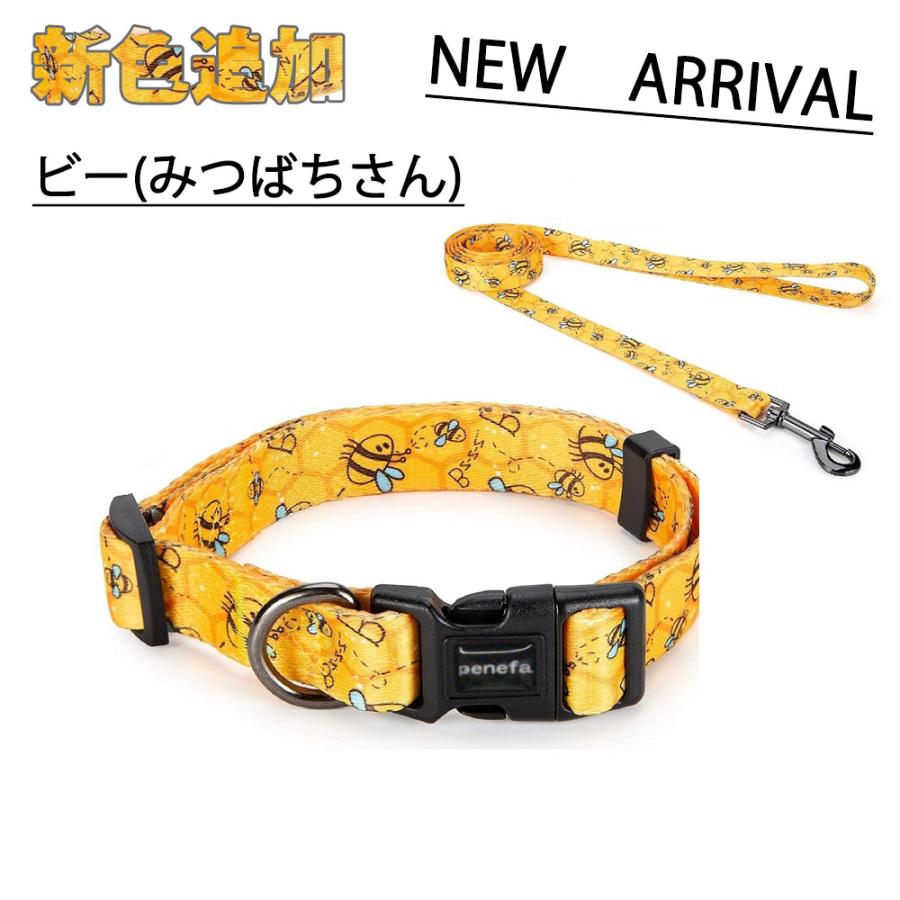 犬 リード 首輪 リードセット 小型犬 中型犬 おしゃれ かわいい