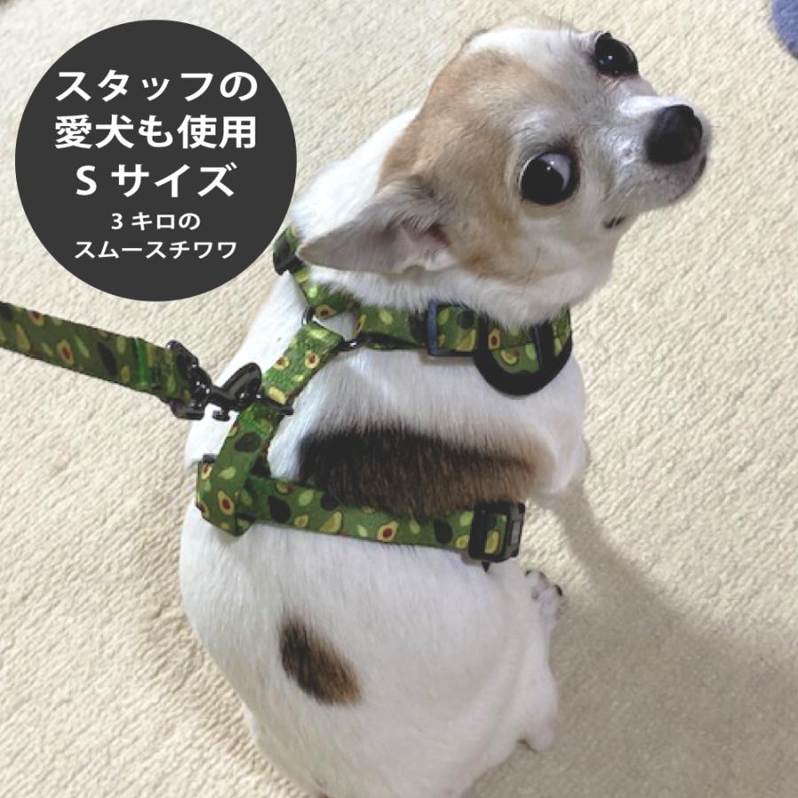 ハーネスタイプリード 小型犬 首輪 リードセット 犬 リード セット