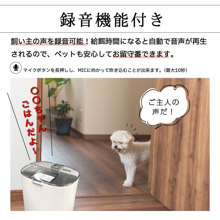 自動給餌器 餌やり機 猫 犬 餌 1日4食設定 4.5L 大容量 乾燥剤ポケット