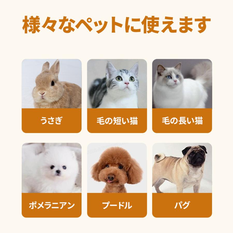 ペットドライヤー ハウス 犬 猫 ボックス  静音 自動  box 乾燥箱 急速乾燥ケース オールシーズン お手入れ簡単
