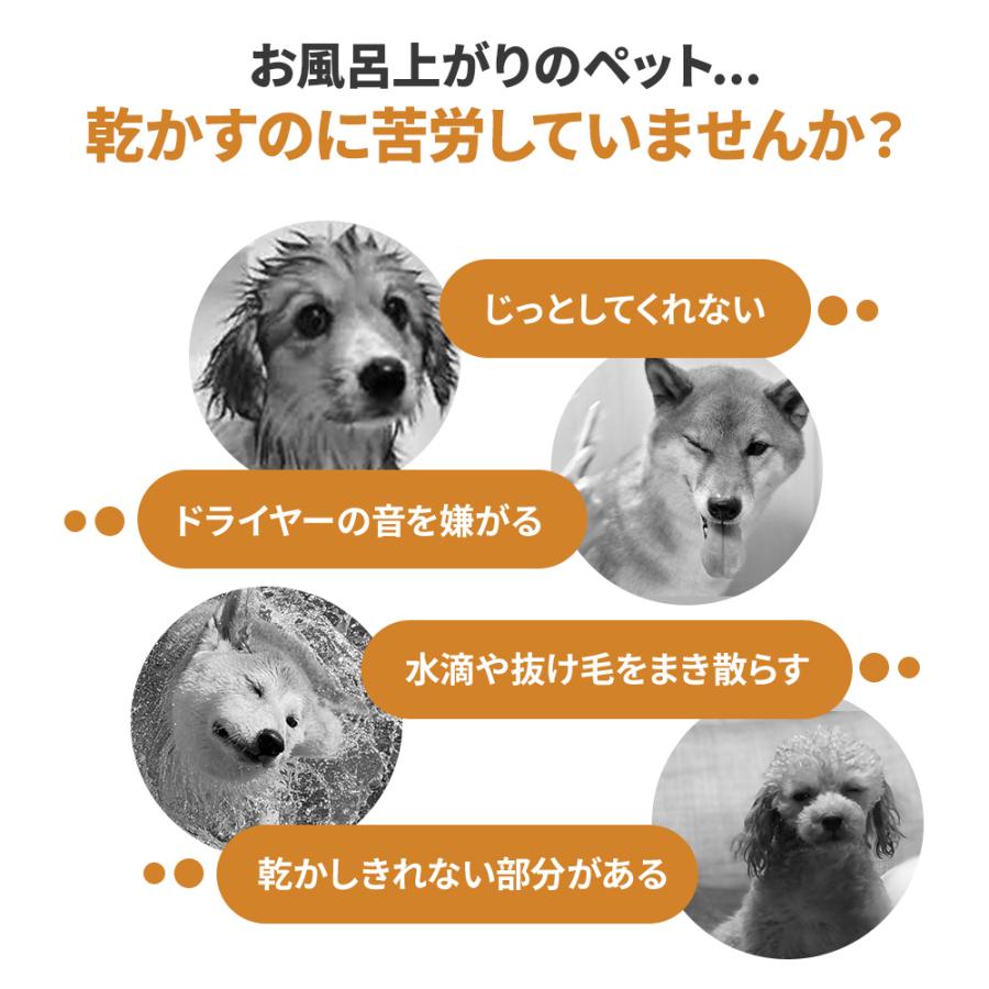無くなり次第終了 限界価格！】 ペットドライヤー ハウス 犬 猫