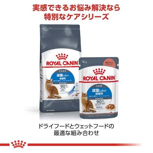 ロイヤルカナン フィーラインケアニュートリション ライト ウェイト ケア ( 400g*12コセット )/ ロイヤルカナン(ROYAL CANIN) ( キャットフード )｜petland｜05