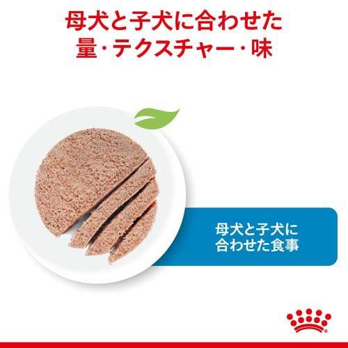 ロイヤルカナン SHN ウェット スタータームース マザー＆ベビードッグ