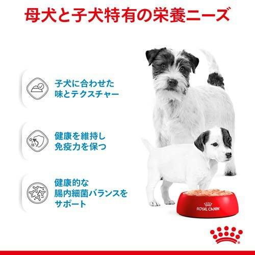 ロイヤルカナン SHN ウェット スタータームース マザー＆ベビードッグ