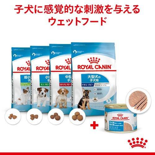 ロイヤルカナン SHN ウェット スタータームース マザー＆ベビードッグ