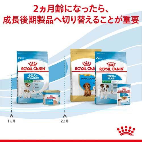 ロイヤルカナン（ROYAL CANIN） SHN ミニ スターター マザー＆ベビー