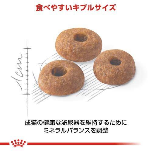 ロイヤルカナン フィーライン ヘルス ニュートリション フィット ( 2kg*6コセット )/ ロイヤルカナン(ROYAL CANIN) ( キャットフード )_3