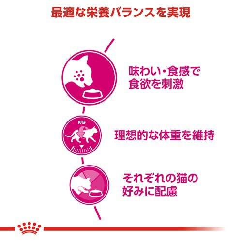 ロイヤルカナン フィーライン ヘルス ニュートリション セイバー エクシジェント ( 2kg*6コセット )/ ロイヤルカナン(ROYAL CANIN)_2