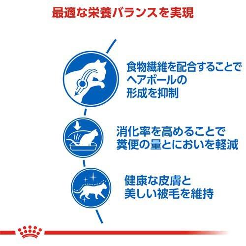 ロイヤルカナン フィーライン ヘルス ニュートリション インドア ロングヘアー ( 2kg*6コセット )/ ロイヤルカナン(ROYAL CANIN) ( キャットフード )_1