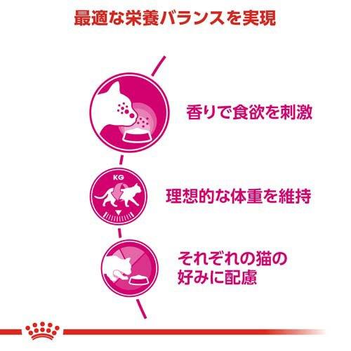 ロイヤルカナン フィーライン ヘルス ニュートリション アロマ エクシジェント ( 2kg*6コセット )/ ロイヤルカナン(ROYAL CANIN) ( キャットフード )_2