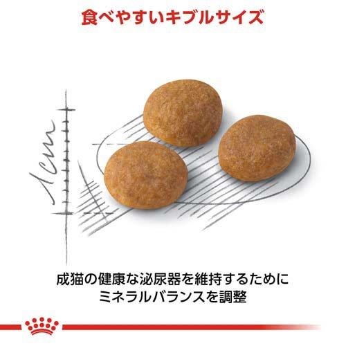 ロイヤルカナン フィーライン ヘルス ニュートリション アロマ エクシジェント ( 2kg*6コセット )/ ロイヤルカナン(ROYAL CANIN) ( キャットフード )_3