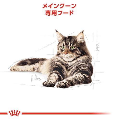 ロイヤルカナン（ROYAL CANIN） フィーライン ブリード