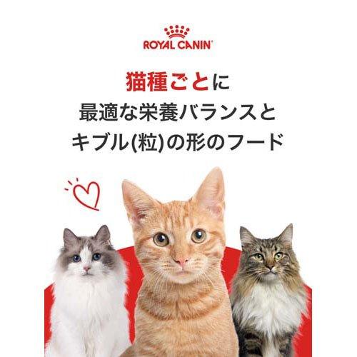 ロイヤルカナン フィーラインヘルスニュートリション エイジングステアライズド12+ ( 2kg*6コセット )/ ロイヤルカナン(ROYAL CANIN)｜petland｜03