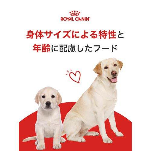 ロイヤルカナン サイズヘルスニュートリション マキシ アダルト ( 4kg*4コセット )/ ロイヤルカナン(ROYAL CANIN) ( ドッグフード )｜petland｜04