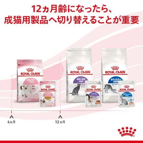 ロイヤルカナン フィーライン ヘルスニュートリション ウェット ゼリー キトン ( 85g*48コセット )/ ロイヤルカナン(ROYAL CANIN) ( キャットフード )｜petland｜05