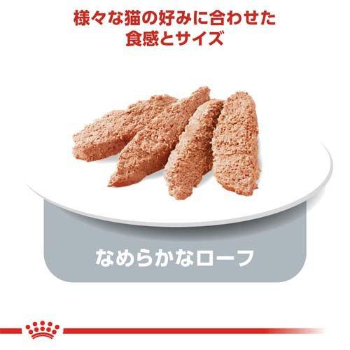 ゆ*＊様 ロイヤルカナン　インスティンクティブ　48袋　ローフ ロイヤルカナン FHN ウェット ローフ インスティンクティブ ( 85g*48