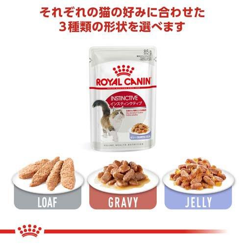 ロイヤルカナン　インスティンクティブ　48袋　ローフ ロイヤルカナン FHN ウェット ローフ インスティンクティブ ( 85g*48 キャットフード