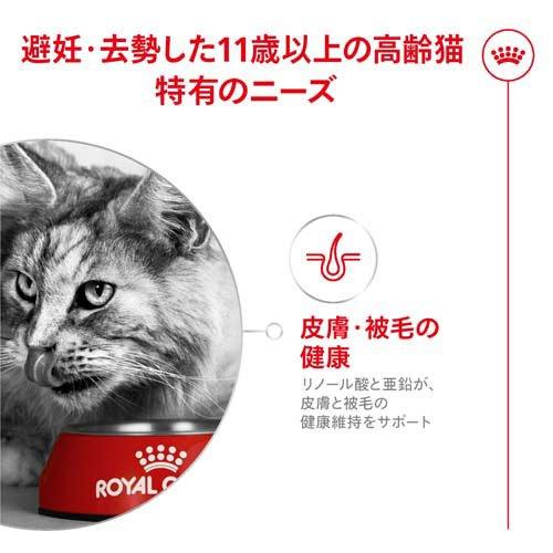  CANIN エイジング 11+ 2kg 3袋セット フィーライン ヘルス ニュートリション エイジングステアライズド 11+