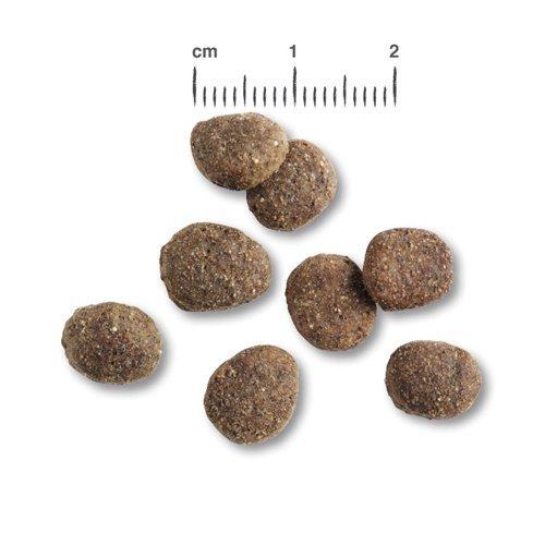 ベルカンド ファイネスト グレインフリー シニア ( 12.5kg )/ BELCANDO ベルカンド ファイネスト グレインフリー