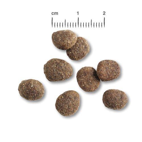 お買い得！ ベルカンド ファイネスト ライト ( 12.5kg )/ BELCANDO 【Z2046227192】(11783円)