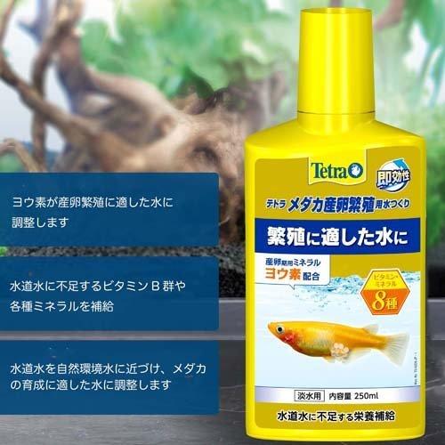 テトラ メダカ産卵繁殖用水つくリ ( 250ml )/ Tetra(テトラ) : ペット