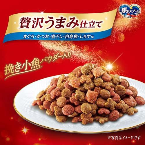 銀のスプーン 贅沢うまみ仕立て まぐろ・かつお・煮干し・白身魚