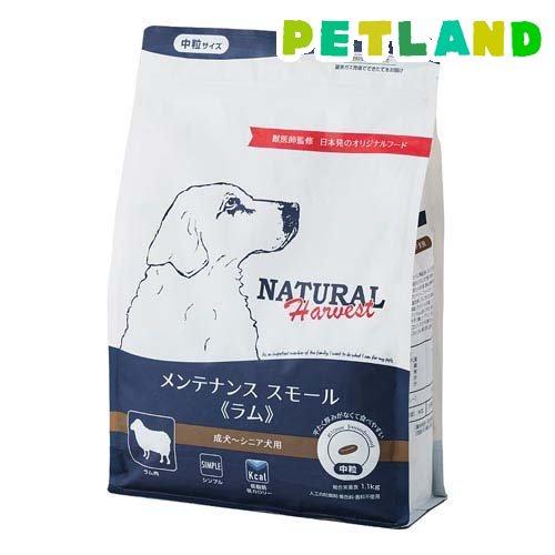 メンテナンス スモール ラム 犬用 ( 1.1kg )/ ナチュラルハーベスト