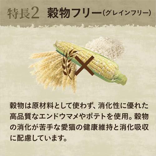 ニュートロ キャット ワイルドレシピ アダルト サーモン 成猫用