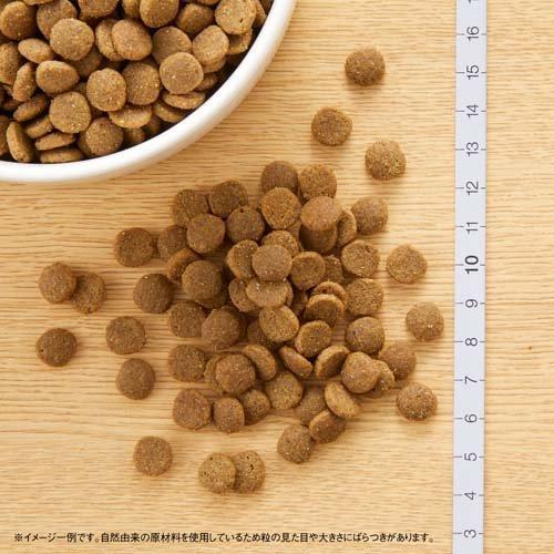 ニュートロ キャット ワイルドレシピ エイジング チキン シニア猫