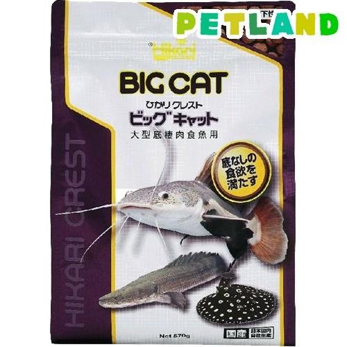 ひかり クレスト ビッグキャット ( 570g )/ ひかり｜petland