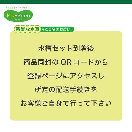 MeGreen 新鮮な水草付き グラスアクア ティアーセット ( 1セット
