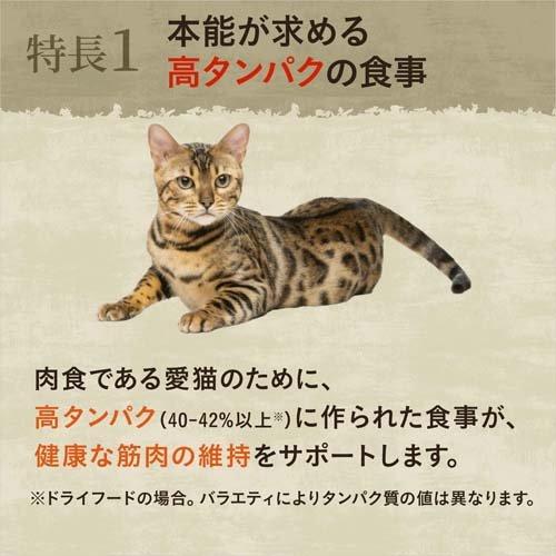 ニュートロ キャット ワイルド レシピ アダルト サーモン 成猫用