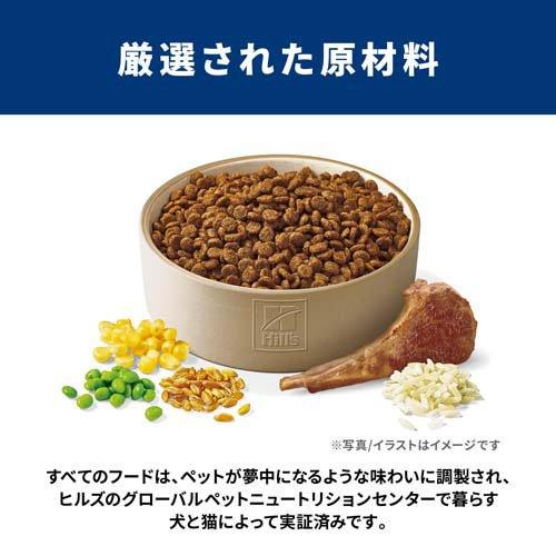 サイエンスダイエット 成犬 小粒 1〜6歳まで ラム＆ライス お試し