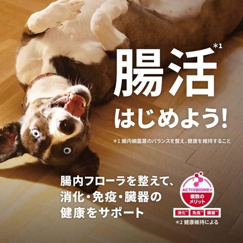 サイエンスダイエット 成犬 小粒 1〜6歳まで ラム＆ライス お試し