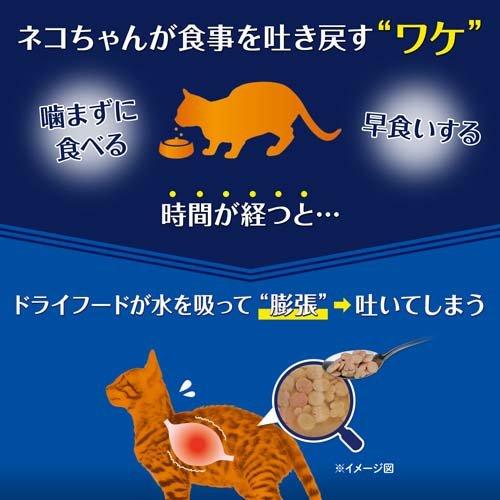 オールウェル(AllWell) キャットフード 避妊・去勢用 フィッシュ味 ( 1.5kg*2セット )/ オールウェル(AllWell)｜petland｜04