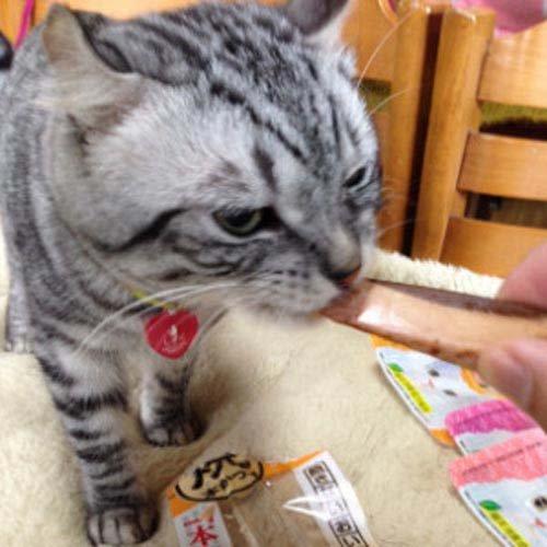 いなば 焼かつお 高齢猫バラエティ ( 20本入*3袋セット )/ : ペット
