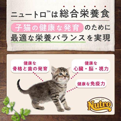 ニュートロ シュプレモ 子猫用 チキン&サーモン キャットフード ニュートロ シュプレモ 子猫用 チキン&サーモン キャットフード