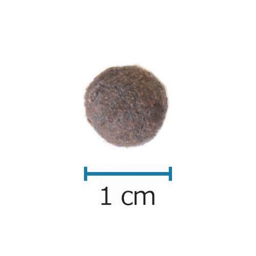 アレヴァケア アレルゲンコントロール・加水分解タンパク 犬用 療法食 ( 2kg×5セット ) アレヴァケア アレルゲンコントロール 加水分解タンパク 犬用