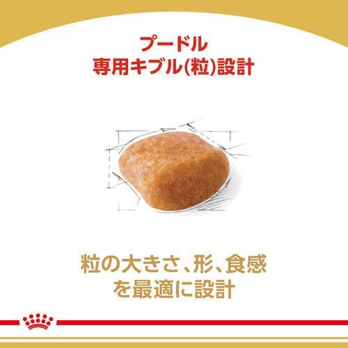 ロイヤルカナン プードル 成犬用 トライアルパック ( 6袋入×6セット(1