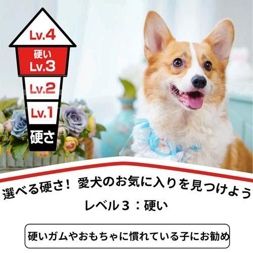 ディンゴ チキンディップ ( 16本入×6セット )/ Tetra(テトラ) : ペット