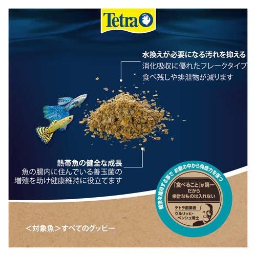 テトラ ベーシック グッピー ( 60g×108セット )/ Tetra(テトラ)