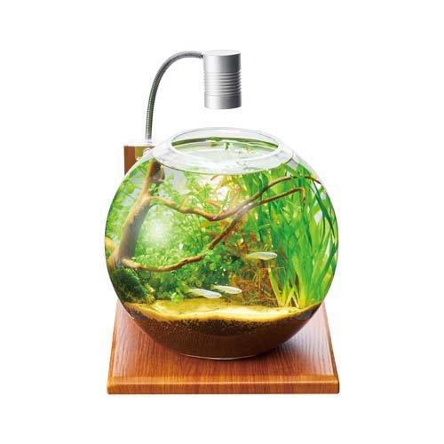 GEX GLASS BASE MAPLE 200 テラリウムセット 水槽台 GEX グラスベース